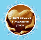 Отдам свое сердце в надежные руки Отдам свое сердце в надежные руки