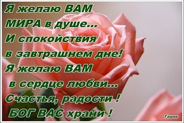 Фразы поздравление счастья вам 141
