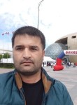 Умид - Санкт-Петербург