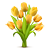 Нежные тюльпаны