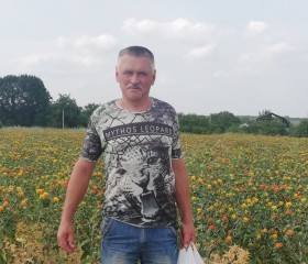 Юрий, 61 год, Нова Водолага