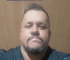 Rodrigo, 40 лет, São Paulo capital