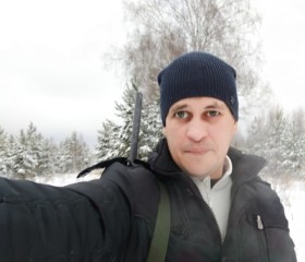 Дмитрий, 41 год, Городище (Пензенская обл.)