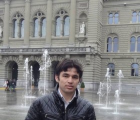 Hamid, 29 лет, St. Gallen