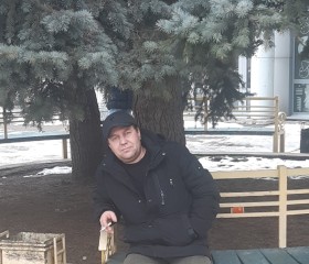 Денесенок, 48 лет, Саратов