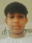 Deepak singh, 18 лет, Budhlāda