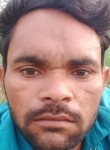 Chandrapal Singh, 24 года, Dhaulpur