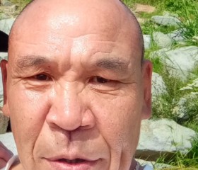 Aleksandr, 49, Washington D.C.