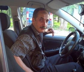 Виктор, 65 лет, Гатчина
