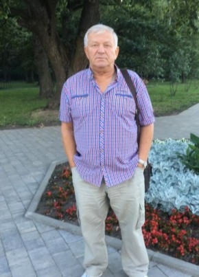 Владимир, 70, Россия, Щекино