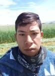 Daniel , 24 года, Guadalupe (Estado de Zacatecas)