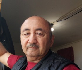 Улугбек, 62 года, Showot