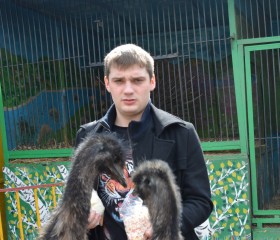 Юрий, 31 год, Новокузнецк