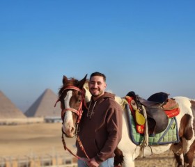احمد, 28, Cairo