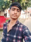 Tushar bhai, 18 лет, Amod
