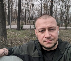 Алексей, 40 лет, Бишкек