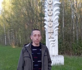 Роман, 43 года, Брянск