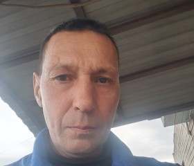 Анатолий, 51 год, Самара