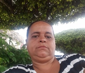 MÁRCIA, 43 года, Pilar