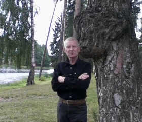 Анатолий, 72 года, Заволжск