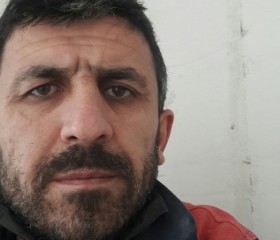 levent, 44 года, İstanbul