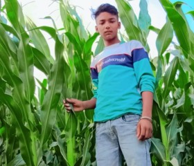 Ankit Rathore, 24 года, Delhi