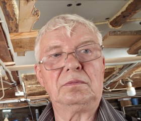 Vladimir, 74, Melenki
