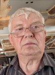 Vladimir, 74, Melenki