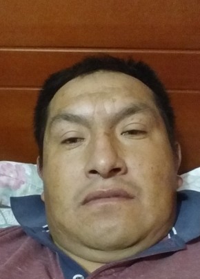 Alfredo pucuna, 50, República del Ecuador, Quito