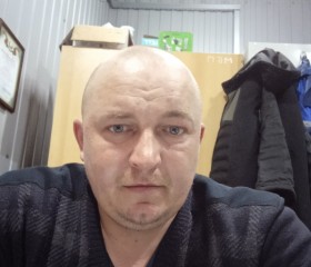 Андрей, 40 лет, Бабруйск