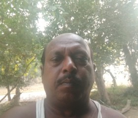 Banarsi lal, 56 лет, Lucknow