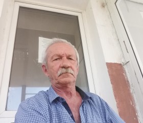 Виктор Анисимов, 67 лет, Бугульма