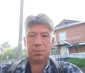 Андрей, 45 лет, Балезино