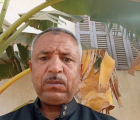 محمد, 53, Alexandria