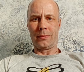 Олег Ермушин, 39 лет, Череповец