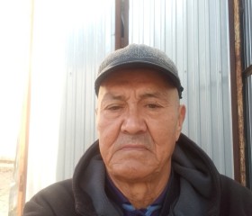 Мурат, 67 лет, Меркі