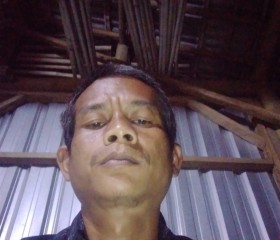 Herman, 35, Randudongkal