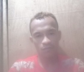 30, 33, Lupon