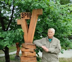 Николай, 69 лет, Котлас