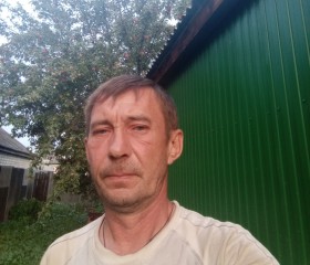Владимир, 51 год, Таловая