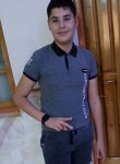Amir, 19 лет, Tlemcen