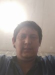 Bohodir, 34 года, Toshkent