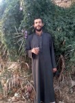 محمد الحلواني, 26 лет, القاهرة