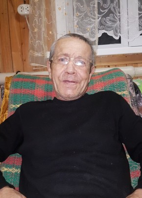 Рафик Хафизов, 65, Россия, Набережные Челны