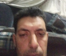 محمود, 39, Toukh