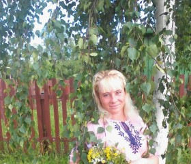 Елена Журавлев, 44 года, Котельнич
