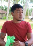 lester, 42 года, Lungsod ng Puerto Princesa