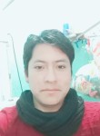 Reynald, 29 лет, Ciudad La Paz