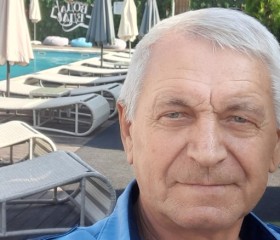 Анатоль, 69 лет, Краснодар