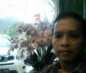 Romans, 36, Palembang